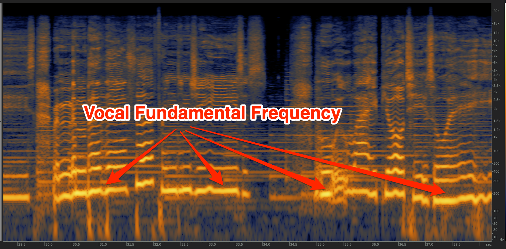 Vox fundamentals